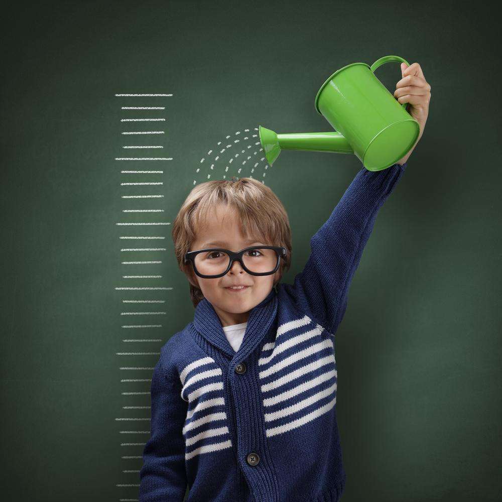 Développement des compétences commerciales